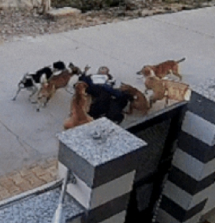 IMG_20250308_143514